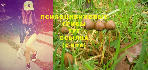 PSILOCYBIN Надым