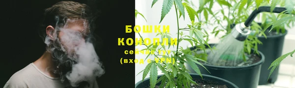 спиды Нефтекумск