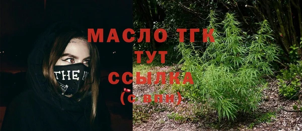 индика Наволоки