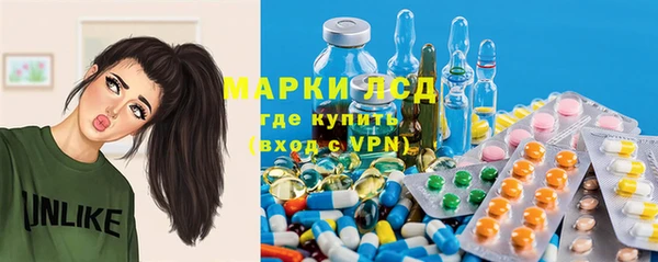 спиды Нефтекумск